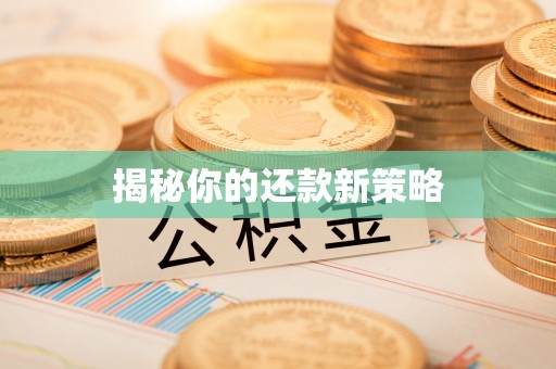 遂平揭秘你的还款新策略