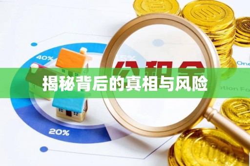 遂平揭秘背后的真相与风险