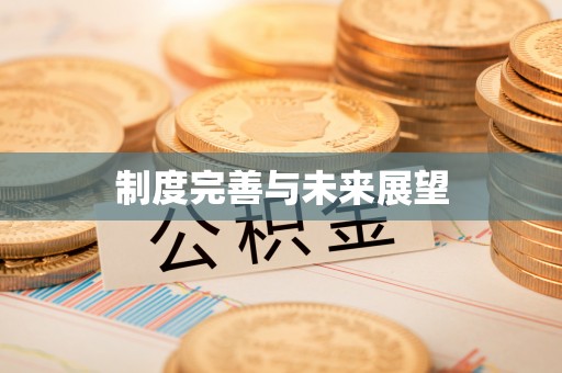 遂平制度完善与未来展望