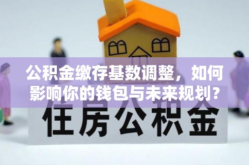 遂平公积金缴存基数调整，如何影响你的钱包与未来规划？