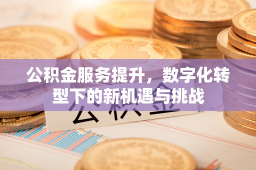遂平公积金服务提升，数字化转型下的新机遇与挑战