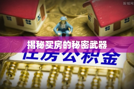 遂平揭秘买房的秘密武器