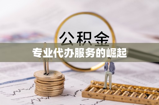 遂平专业代办服务的崛起