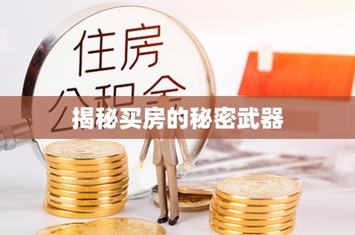 遂平揭秘买房的秘密武器