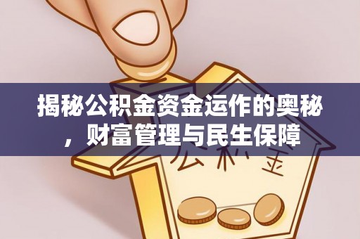 遂平揭秘公积金资金运作的奥秘，财富管理与民生保障