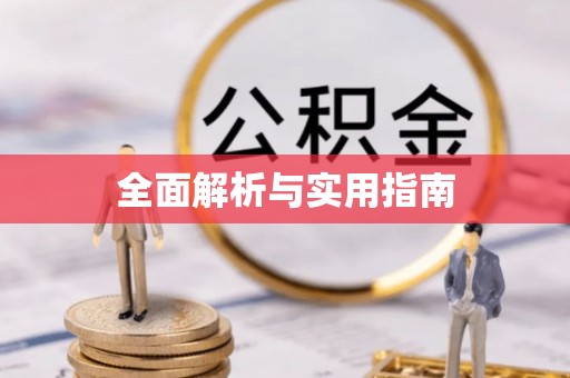 遂平全面解析与实用指南