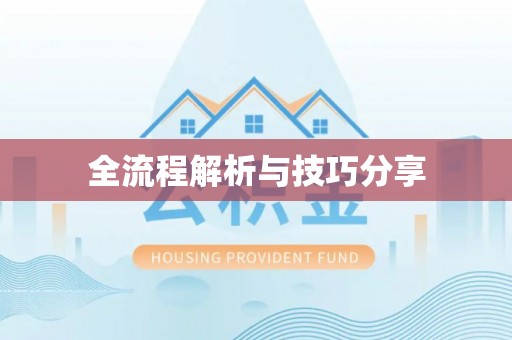 遂平全流程解析与技巧分享